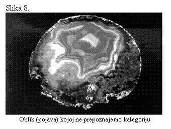 Text Box: Slika 8.
 
Oblik (pojava) kojoj ne prepoznajemo kategoriju
